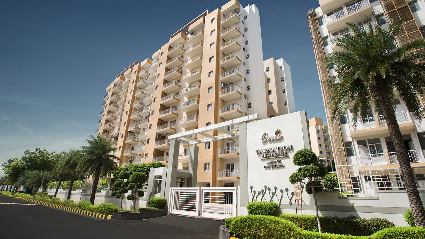 Carnation Residency