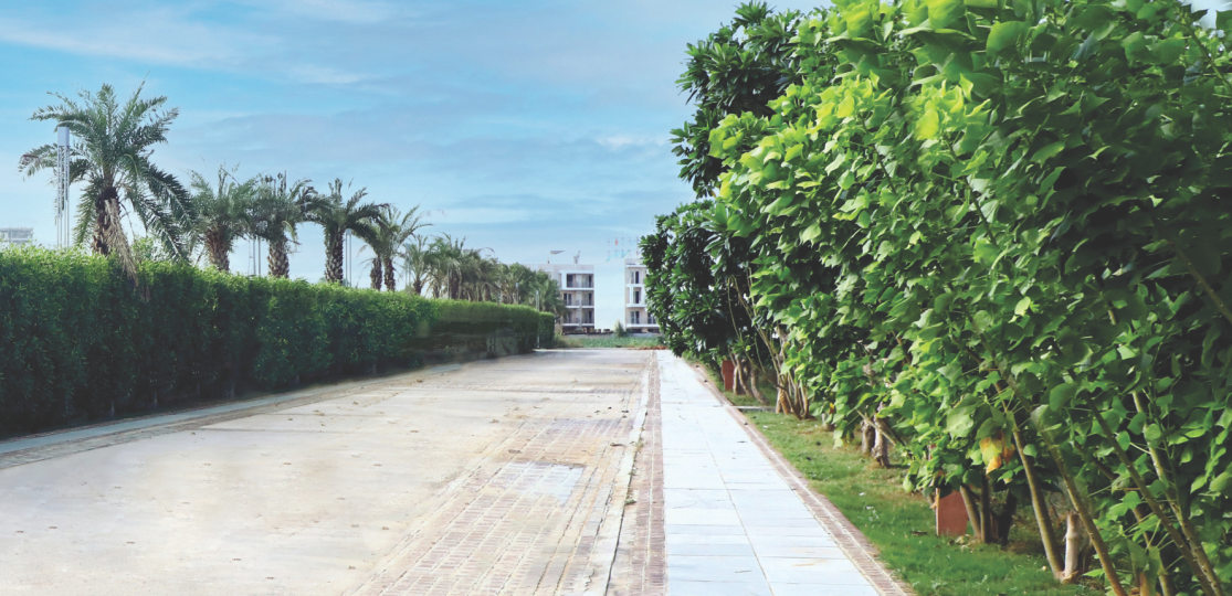 Woodview Residencies