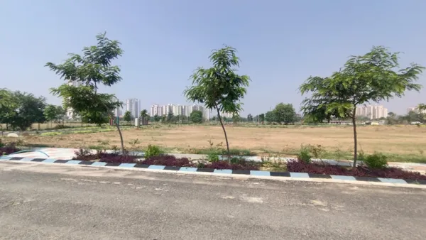 Tree lined avenue in progress