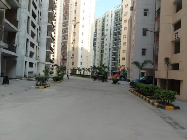 12 MTR. ROAD & PLANTATION COMPLETED