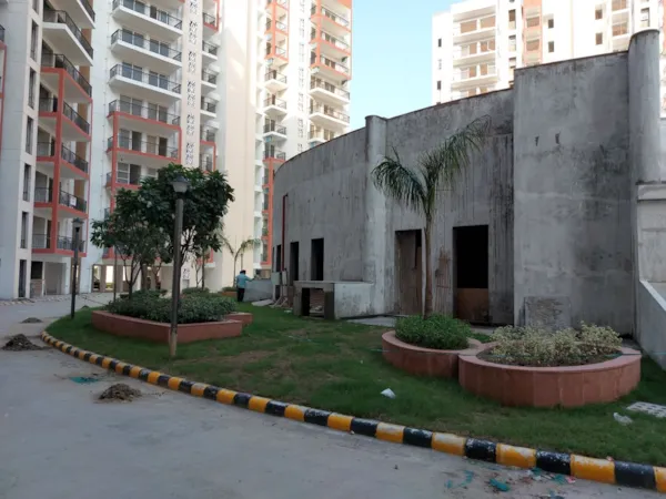 GRASS BED & LANDSCAPING AROUND CLUB AREA