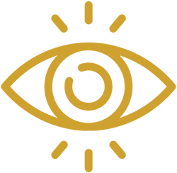 vision